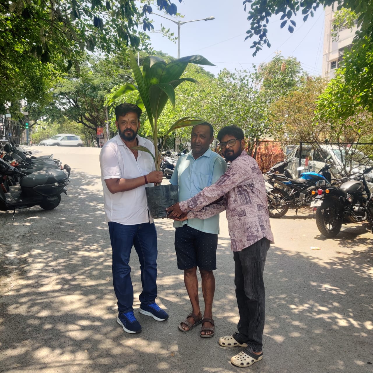 Sree Shanthveera School 2