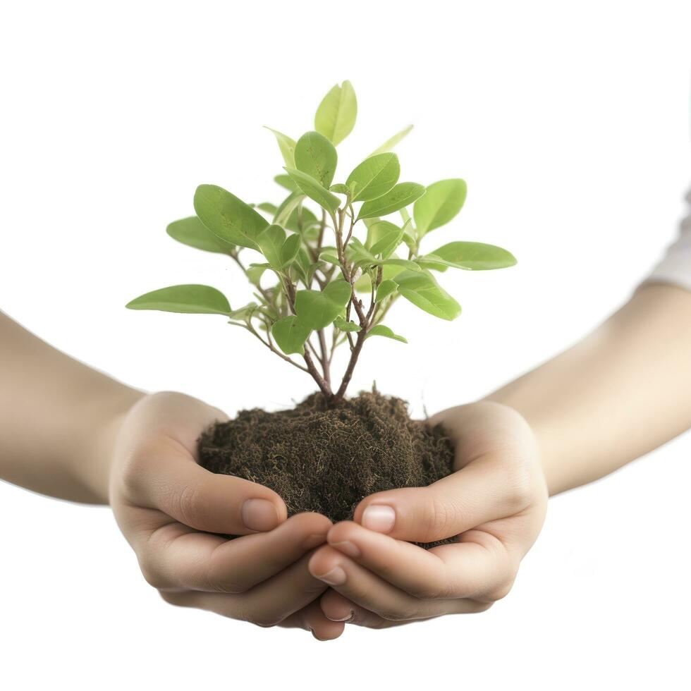 About Viva Foundation